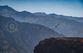 Arequipa to Puno and Colca Canyon Tour, Guided Tours on the Route