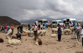Bus Tour from Arequipa to Chivay with guided tours